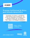 Pibex 2.jpeg